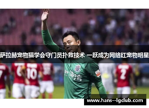 萨拉赫宠物猫学会守门员扑救技术 一跃成为网络红宠物明星 萨拉赫宠物猫学会守门员扑救技术 一跃成为网络红宠物明星