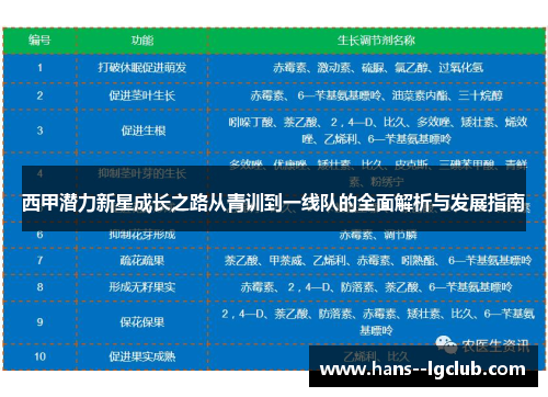 西甲潜力新星成长之路从青训到一线队的全面解析与发展指南