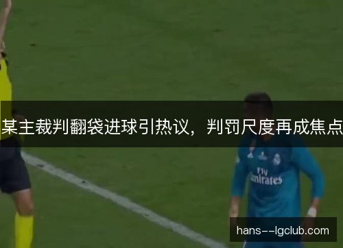 某主裁判翻袋进球引热议,判罚尺度再成焦点 某主裁判翻袋进球引热议,判罚尺度再成焦点
